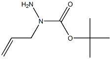 Structure of 1-allyl-1-tert-butoxycarbonylhydrazine