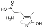 Structure of (S)-2-AMINO-3-(3-HYDROXY-4-METHYL-ISOXAZOL-5-YL)-PROPIONIC ACID