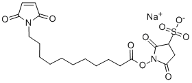 Structure of 2,5-Dihydro-2,5-dioxo-1H-pyrrole-1-undecanoic Acid 2,5-Dioxo-3-sulfo-1-pyrrolidinyl Ester SodiuM Salt