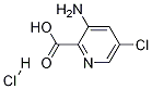 Structure of 3-Amino-5-chloropyridine-2-carboxylic acid hydrochloride