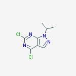 Structure of 4,6-dichloro-1-propan-2-ylpyrazolo[3,4-d]pyrimidine