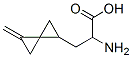 Structure of SPIRO[2.2]PENTANEPROPANOIC ACID A-AMINO-2-METHYLENE-