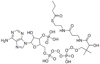 [5-(6-aminopurin-9-yl)-2-[[[[3-[2-(2-butanoylsulfanylethylcarbamoyl)ethylcarbamoyl]-3-hydroxy-2,2-dimethyl-propoxy]-hydroxy-phosphoryl]oxy-hydroxy-phosphoryl]oxymethyl]-4-hydroxy-oxolan-3-yl]oxyphosphonic acid结构式