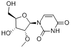 Structure of 2'-O-Methyluridine