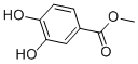 Structure of Methyl 3,4-dihydroxybenzoate