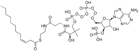 Structure of 3Z-dodecenoyl-CoA