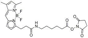Structure of 3-BODIPY-PROPANOYLAMINOCAPROIC ACID, N-HYDROXYSUCCINIMIDE ESTER