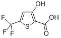 Structure of 3-Hydroxy-5-trifluoromethylthiophene-2-carboxylic