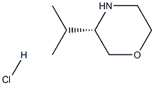 Structure of (S)-3-IsopropylMorpholine HCl