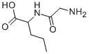 Structure of GLYCYL-DL-NORVALINE