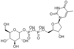 Structure of TDP-Glucose