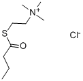 Structure of S-BUTYRYLTHIOCHOLINE CHLORIDE