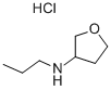 3-N-PROPYL-TETRAHYDROFURAN-3-YL-AMINE HYDROCHLORIDE结构式