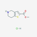 Structure of Methyl 4,5,6,7-tetrahydrothieno[3,2-c]pyridine-2-carboxylate