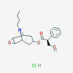 Structure of N-Butyl Nor ScopolaMine Hydrochloride
