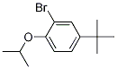 Structure of 2-Bromo-4-t-butyl-1-isopropoxybenzene