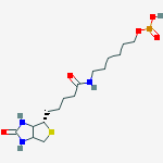 Cas Number: 224583-35-1