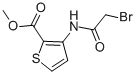 Structure of METHYL 3-[(2-BROMOACETYL)AMINO]THIOPHENE-2-CARBOXYLATE