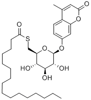Structure of 4-METHYLUMBELLIFERYL 6-THIO-PALMITATE-B-D-GLUCOPYRANOSIDE