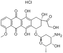 Structure of Adriamycin
