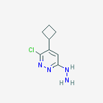 Structure of 3-chloro-4-cyclobutyl-6-hydrazinylPyridazine