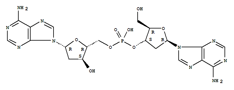 Structure of 2-deoxyadenylyl-(3-5)-2-deoxyadenosine