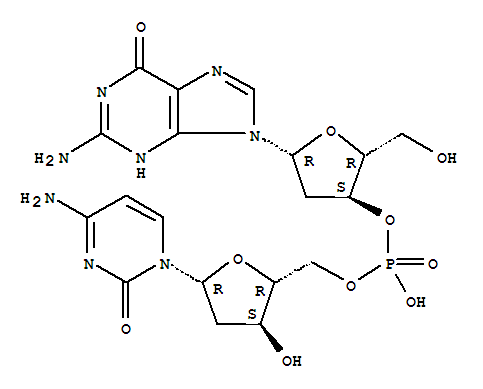 Structure of 2-deoxyguanylyl-(3-5)-2-deoxycytidine