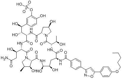 Structure of Micafungin