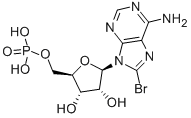 Structure of 8-BROMOADENOSINE 5-MONOPHOSPHATE