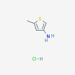 Structure of 5-Methylthiophen-3-amine hydrochloride