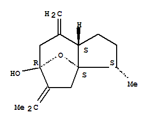 Structure of Isocurcumenol