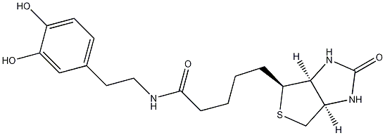 Structure of N-Biotinyl Dopamine