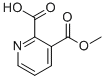 Structure of ETHYL 2-CARBOXYPYRIDINE-3-CARBOXYLATE