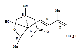 Structure of (2Z,4E)-3-Methyl-5-[(1R,8S)-1β,5β-dimethyl-3-oxo-8-hydroxy-6-oxabicyclo[3.2.1]octane-8-yl]-2,4-pentadienoic acid