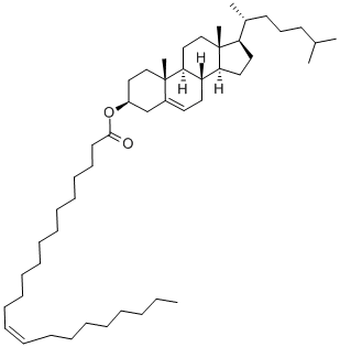 Structure of CHOLESTERYL ERUCATE