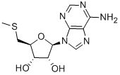 Structure of 5-DEOXY-5-METHYLTHIOADENOSINE