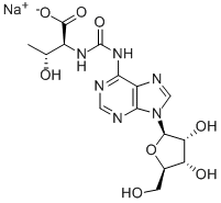 Structure of n(6)-(n-threonylcarbonyl)adenosine