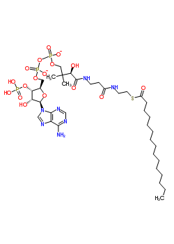 pentadecanoyl Coenzyme A结构式