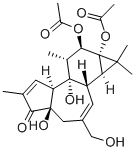 Structure of PHORBOL 12,13-DIACETATE