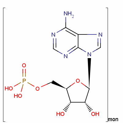 polyadenylic acid potassium salt mr ~7000000结构式