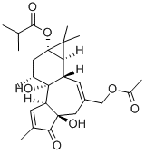 Structure of 12-DEOXYPHORBOL 13-ISOBUTYRATE 20-ACETATE