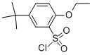 Structure of 5-TERT-BUTYL-2-ETHOXYBENZENE-1-SULFONYL CHLORIDE
