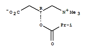 Structure of (3R)-3-(2-methylpropanoyloxy)-4-trimethylazaniumylbutanoate
