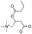 Structure of 3-butanoyloxy-4-trimethylammonio-butanoate