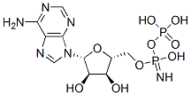 Structure of Adenylyl Imidodiphosphate