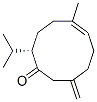 Structure of (2S,5E)-5-Methyl-9-methylene-2-isopropyl-5-cyclodecen-1-one