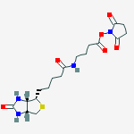 2,5-Dioxopyrrolidin-1-yl 4-(5-((3aS,4S,6aR)-2-oxohexahydro-1H-thieno[3,4-d]imidazol-4-yl)pentanamido)butanoate结构式