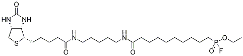 Structure of FP-Biotin