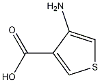 Structure of 4-Amino-3-thiophenecarboxylic acid