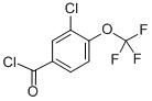 Structure of 3-CHLORO-4-(TRIFLUOROMETHOXY)BENZOYL CHLORIDE
